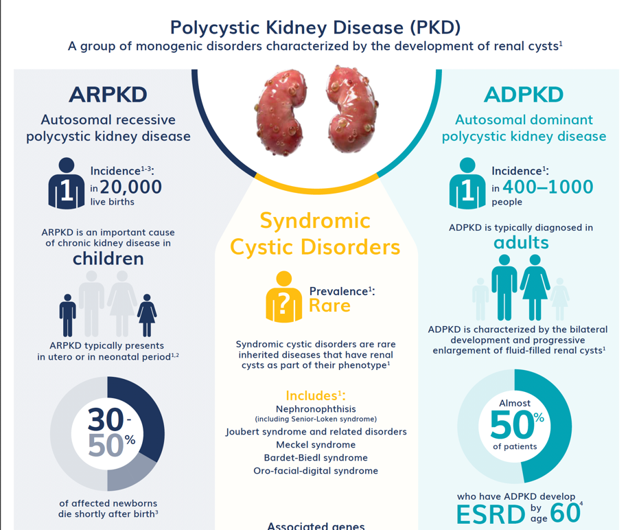 age of presentation polycystic kidney disease