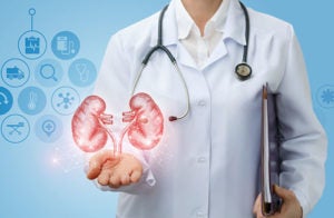 Role of the Renal Pathologist in IgA Nephropathy