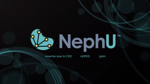 Explore NephU’s Disease Areas Of Focus