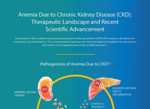 Infographic – Anemia Due to Chronic Kidney Disease (CKD): Therapeutic Landscape & Recent Scientific Advancement