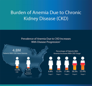 Infographic – Burden of Anemia Due to Chronic Kidney Disease (CKD)