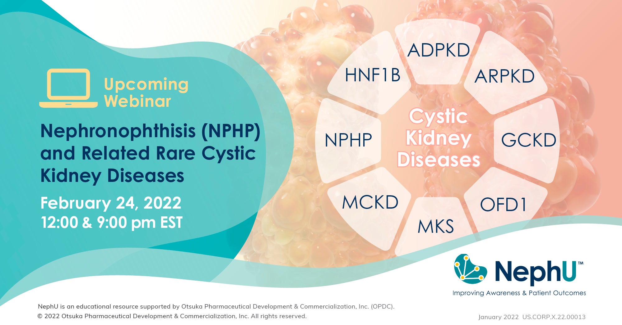 Nephronophthisis Nphp And Related Rare Cystic Kidney Diseases Nephu