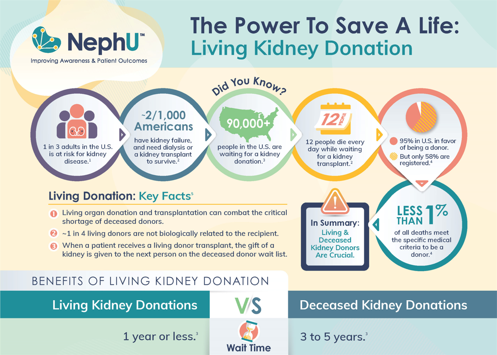 Downloadable Resource The Power To Save A Life Living Kidney