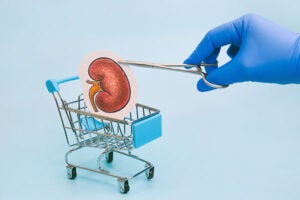 Kidney Transplant In Patients With IgA Nephropathy (IgAN)