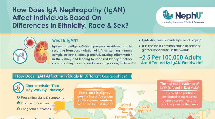 Infographic How Does Iga Nephropathy Igan Affect Individuals Based