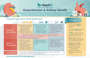 Infographic – Hypertension & Kidney Health: Comparing Autosomal Dominant Polycystic Kidney Disease (ADPKD), Chronic Kidney Disease (CKD), & The General Population (GP)