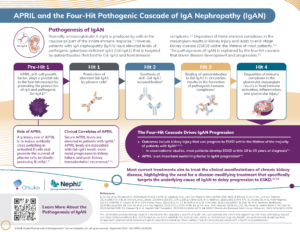 APRIL & the 4-Hit Pathogenic Cascade of IgAN