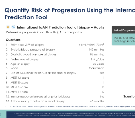 Utilization of the International IgA Nephropathy Prediction Tool