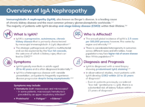 Overview of IgAN