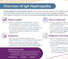 Overview of IgAN