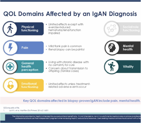 Understanding the IgAN Patient Journey