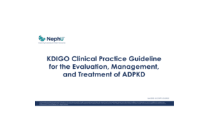 Key Takeaways for Clinicians from the KDIGO 2025 Clinical Practice Guideline for the Evaluation, Management, & Treatment of Autosomal Dominant Polycystic Kidney Disease (ADPKD)