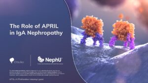 The Role of APRIL in IgA Nephropathy